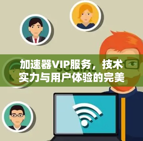 加速器VIP服务，技术实力与用户体验的完美结合