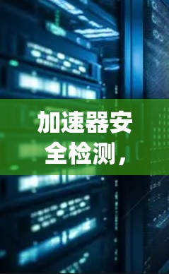 加速器安全检测，漏洞 everywhere