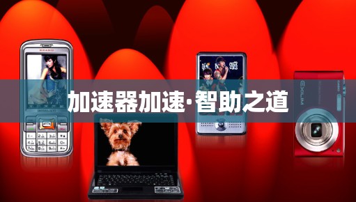 加速器加速·智助之道