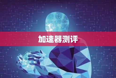 加速器测评