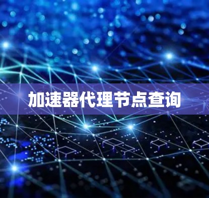 加速器代理节点查询