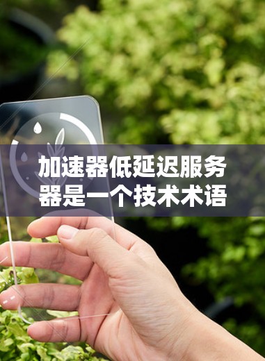加速器低延迟服务器是一个技术术语，主要指的是在服务器性能优化方面，通过各种技术手段减少服务器延迟，提升用户体验。以下是对此概念的详细分析